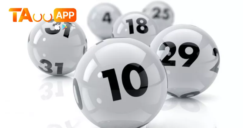 nuôi bạch thủ lô khung 3 ngày